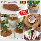 Coconut Husk Fibre Organic Ceylon Natural Orchid Anthurium Plant Media Grow Coir