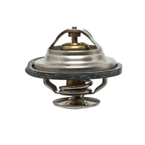 Termostato para Hürlimann XL 135 Tier 3, 155 Tier 3 a 160.4 Hi-Level/Tier 4 - Imagen 1 de 1