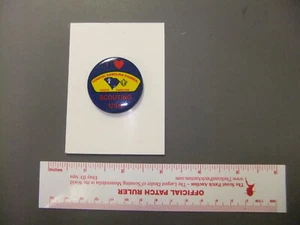 Boy Scout Coastal Carolina Council Celluloid Button 8012GG - Picture 1 of 1
