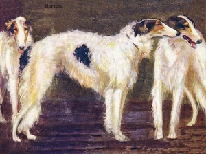 BORZOI ENCANTADOR PERRO SALUDO NOTA TARJETA HERMOSO GRUPO DE TRES PERROS - Imagen 1 de 1