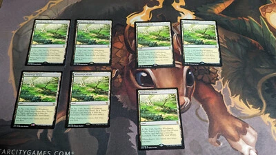 MTG Windswept Heath Khans of Tarkir 248/269 Rare Fetch Land - Image 1 of 4