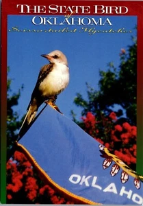 Postcard OK Oklahoma State Bird Scissortailed Flycatcher  - Picture 1 of 3
