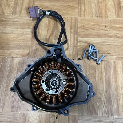 Husqvarna 701 2018 estator y cubierta Supermoto 701SM 18 herrajes KTM 690 Enduro Foto 1 de 4