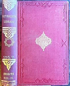 1840er Jardine Naturalist's Library Merian Entomology Moths & Sphinxes 30 HC Plts - Bild 1 von 23