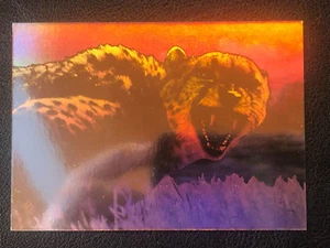 Africa Cheetah 1993 Cardz San Diego Zoo Hologram Foil Special Insert Card #H-3 - Picture 1 of 2