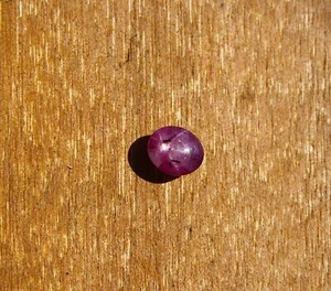edelsteine24 Echter natur Sternrubin 3,80ct - oval  - unbehandelt Indien! A-468 - Bild 1 von 5