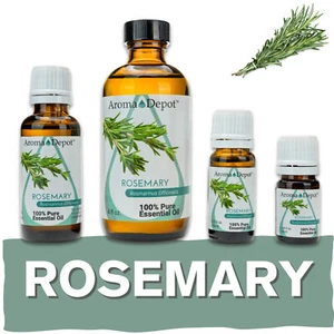 Rosemary Essential Oil Therapeutic Grade 100% Pure Natural Aceite Esencial - Picture 1 of 16