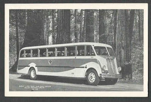 CA 1944 PPC* AUTOBÚS LÍNEA GRIS CALIFA AT MUIR WOODS TARJETA TIPO FOTO - Imagen 1 de 1