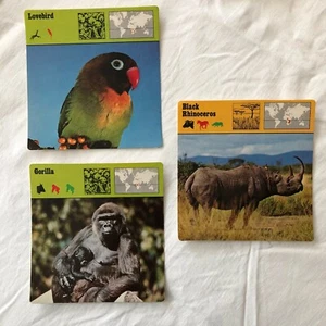 Vintage Set 3 - 1975-76 Editions Rencontre S.A., Lausanne - Animal Flash Cards - Bild 1 von 12
