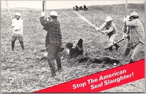 FONDO INTERNACIONAL PARA EL BIENESTAR ANIMAL Postal Stop the American Seal Slaughter - Imagen 1 de 2