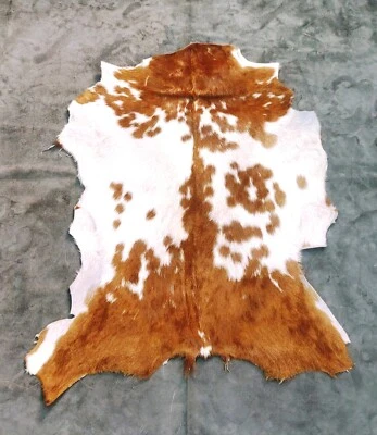 Neutral Animal Skin Pelt decor, Nordic Goat Hide, Taxidermy Leather Fur Coat - Image 1 of 4