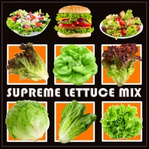 100 x LETTUCE SEEDS-HEIRLOOM MIX-10 DIFFERENT VARIETIES-SALAD VEGETABLE PLANTS - Picture 1 of 12