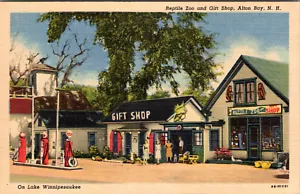 ALTON BAY, NEW HAMPSHIRE - ZOOLÓGICO DE REPTILES Y TIENDA DE REGALOS EN LA CARRETERA - POSTAL DE LINO - Imagen 1 de 2