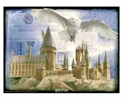 Harry Potter Imagen 3D Puzzle Castillo de Hogwarts y Hedwig Volando 500 Piezas-Nuevo  Foto 1 de 2