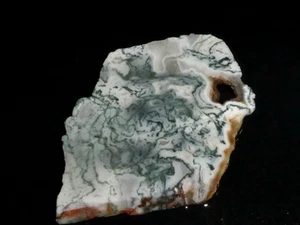 Ágata de árbol --3 3/4" x 2 3/8" --áspera, cable--exhibición Geología - Imagen 1 de 3