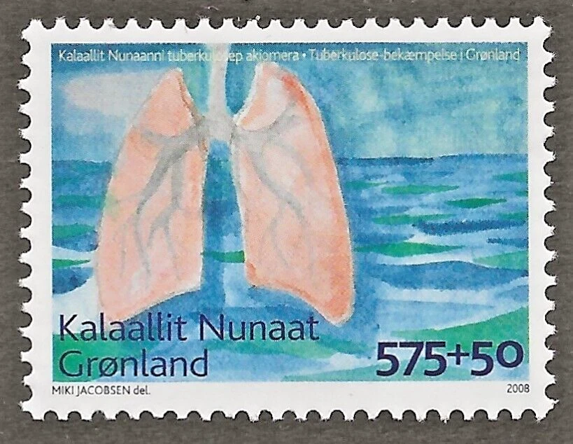 Groenlandia (2007) - Scott # B32, MNH Foto 1 de 1