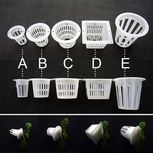 10 x cesto tazza a rete in rete in rete bianca trasparente pianta aeroponica clone per crescita - Foto 1 di 12