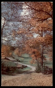 Postal Autumn Oaks en Iowa - Imagen 1 de 2