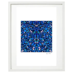 Damien Hirst - The Aspects Mercy H6-1 - Big Size - Imagen 1 de 1
