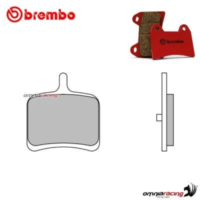 Pastiglie freno posteriori Brembo SP per Ebr 1190RX 2014-2015 - Изображение 1 из 4