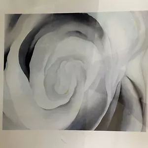 Abstracción Georgia O'Keeffe, Estampado Rosa 11x14 Nuevo México Suroeste Estampado Artista - Imagen 1 de 5