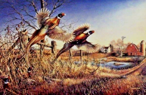 James Meger Homestead Pheasant Farm Art Print 14 x 9.5 - Picture 1 of 1
