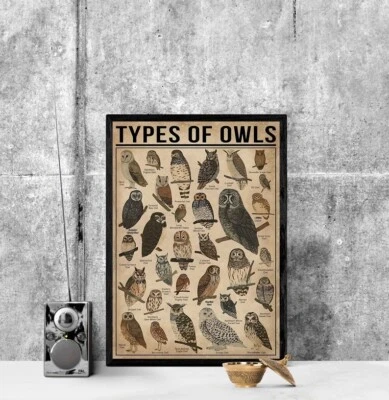 Tipos de búhos verticales sin marco, regalo para amantes del búho, todo sobre el búho, de colección conocidos Foto 1 de 4