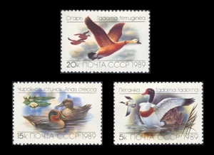 Russia / USSR / Soviet Union, 1989 - Ducks / Birds - 3 val. set - MNH** VF++ - Picture 1 of 1