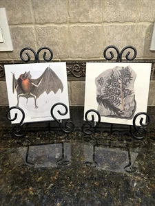 LOTE DE 2 POSTALES ÚNICAS ~ MURCIÉLAGO Y FÓSIL - Imagen 1 de 7