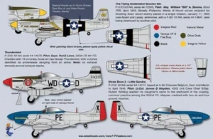 Zotz ZT-32042 1/32 P-51D Mustangs Markings - Bild 1 von 2