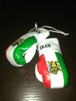 IRAN IRANIAN NATIONAL COUNTRY FLAG MINI BOXING GLOVES ORNAMENT BRAND NEW
