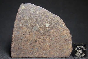 NWA 10686 L3 Primitive Chondrite Meteorite 14 gram part slice - Picture 1 of 2