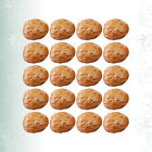 Authentic Looking Walnut Models - 20 Pcs Fake Nuts for Photoshoots