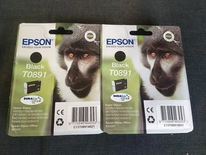 Lot De 2 Epson T0891 Cartouches D'encre Noir Original Epson Neuves 04/2023 !!!! - Foto 1 di 4