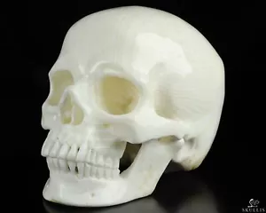 Huge 5.1" Tridacna Gigas Carved Crystal Skull, Super Realistic - Picture 1 of 9