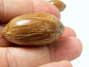 Amazonian seed with hole for making necklace - Picture 1 of 3