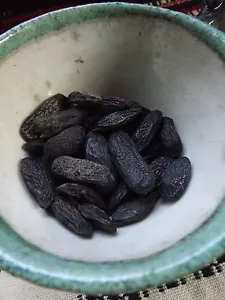 Frijoles Tonka - 5 piezas - Dypterix odorata - ¡Especia mágica Wicca! Y 001 - Imagen 1 de 1