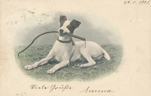 Motiv - Karte von einem Hund mit Peitsche im Maul Ansichtskarte (10366) - Imagen 1 de 2