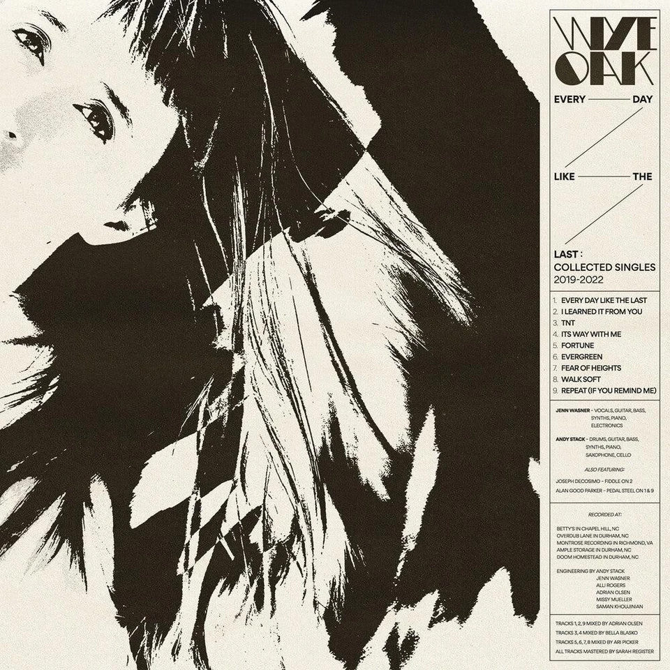 Wye Oak - Every Day Like The Last: Collected Singles [Indie Exclusive] Vinyl Rec - Image 1 of 1