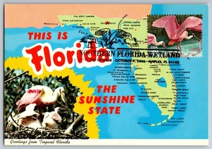 #4099f Southern Florida Roseate Spoonbills FDC Maxi Card w/Pictorial Cancel - Picture 1 of 2