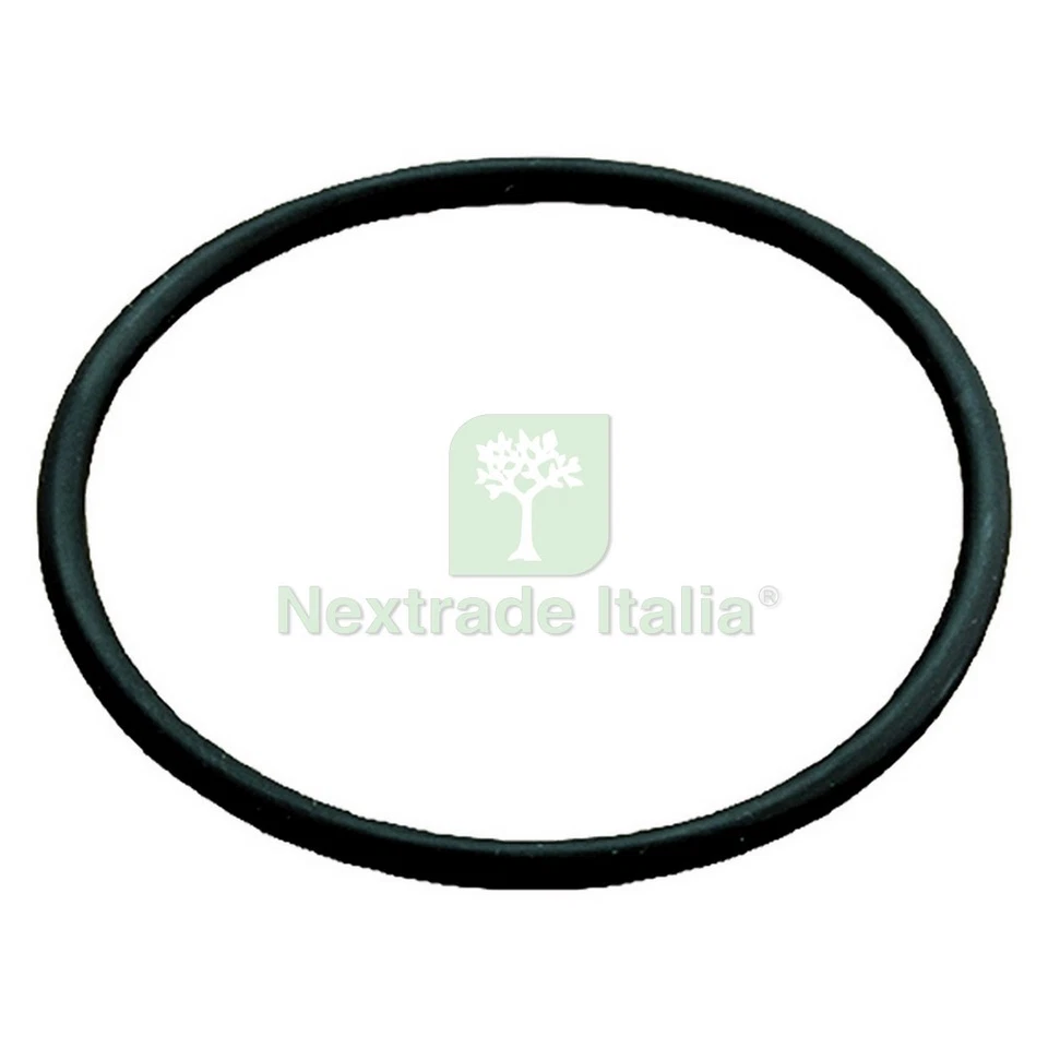 6PZ GUARNIZIONI O.RING 3 4 1: - Immagine 1 di 1