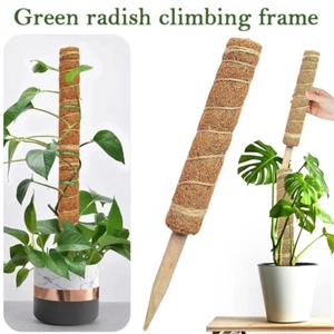Plant Climbing Coir Gardening Pole Coconut Material - Vines And Creepers Support - Picture 1 of 8