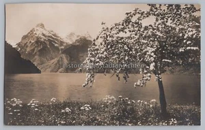Frühling am Urnersee Schweiz AK 1929 - Landschaft - altes Foto AK 1920er - Imagen 1 de 2