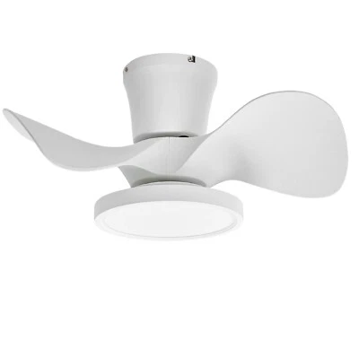 ocioc Quiet Ceiling Fan with LED Light 22 inch Large Air Volume Remote Contro... - Image 1 of 4
