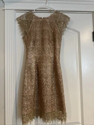 Años 20 Vestidos Aleta Gran Vestido Gatsby Vintage Noche Fiesta Lentejuelas Baile de graduación Vestido Foto 1 de 2