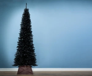 Christmas Tree World | Un-lit/Pre-lit Black Pencil Christmas Tree | 4ft - 8ft - Picture 1 of 66