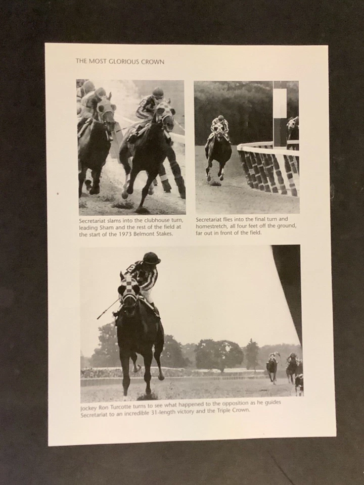 Foto de la Secretaría Carreras de Caballos 1973 Belmont Stakes Foto 1 de 1