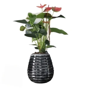 EternaBloom Plant Urn for Ashes | Ceramic Memorial Adult Ashes Urn - Picture 1 of 5