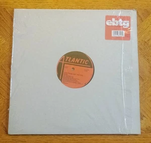 Everything But The Girl - Wrong (The Remixes) : Large Deep House 12" From 1996 - Picture 1 of 4