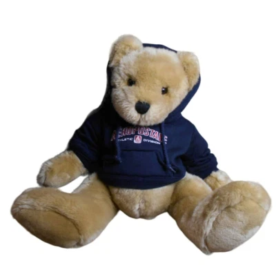 Oso de peluche de felpa de 18" con sudadera con capucha azul Aeropostale Foto 1 de 4